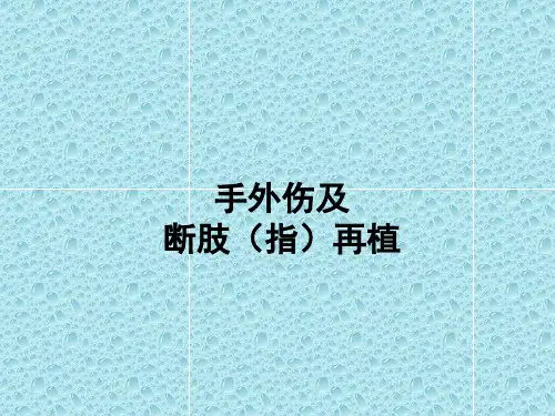 手外伤的急救ppt