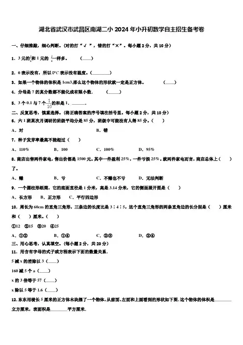 湖北省武汉市武昌区南湖二小2024年小升初数学自主招生备考卷含解析