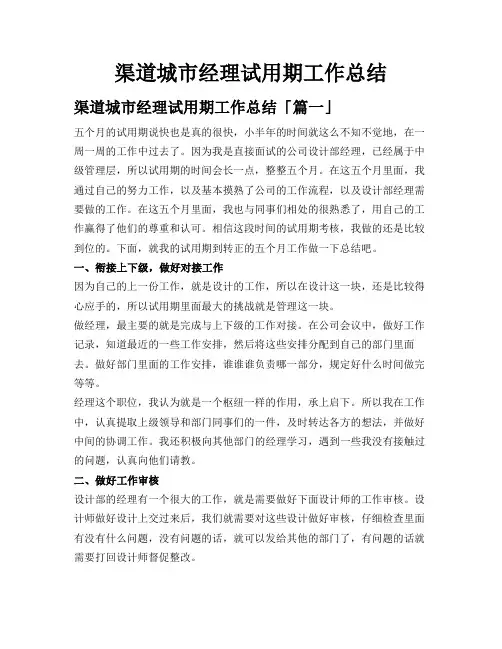 渠道城市经理试用期工作总结