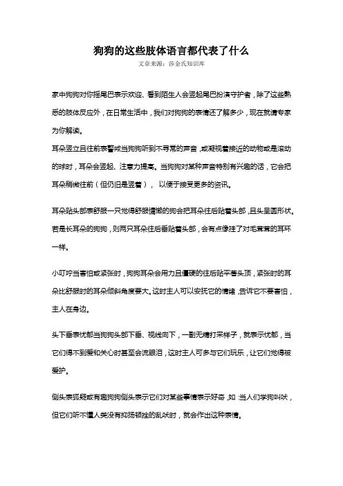 狗狗的这些肢体语言都代表了什么