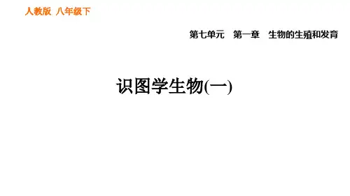 人教版生物八年级下册识图学生物(一)试题