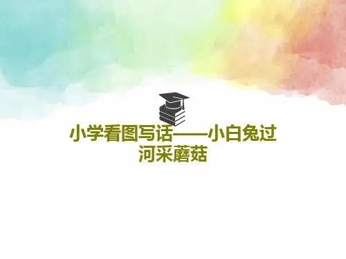 小学看图写话——小白兔过河采蘑菇26页PPT