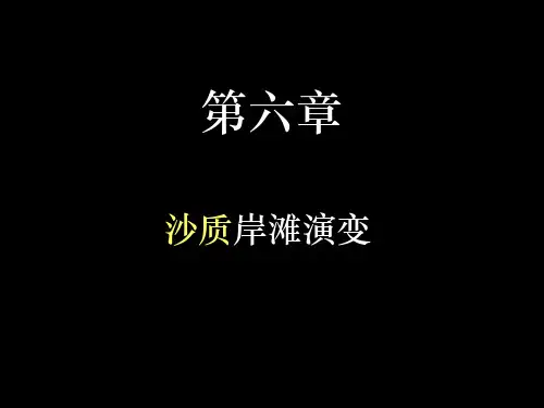 第6章 沙质岸滩演变(2版)