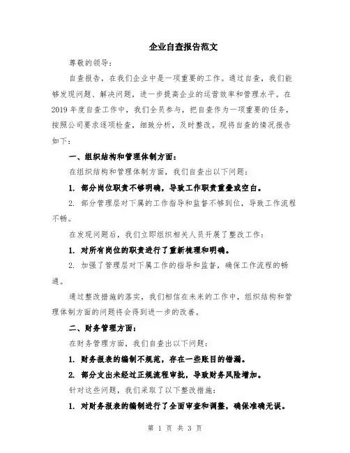 企业自查报告范文