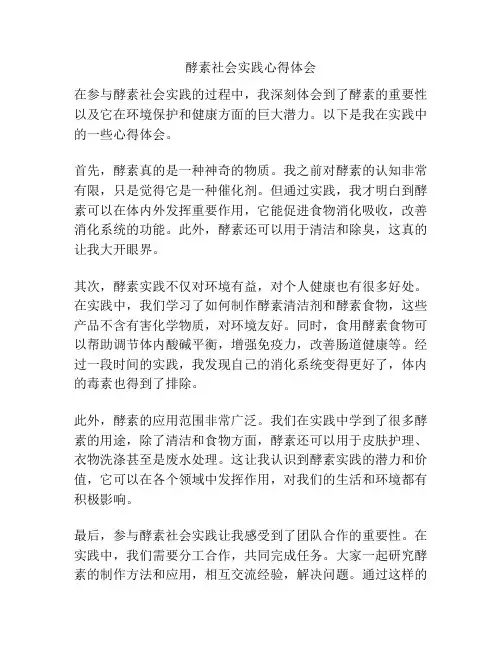 酵素社会实践心得体会