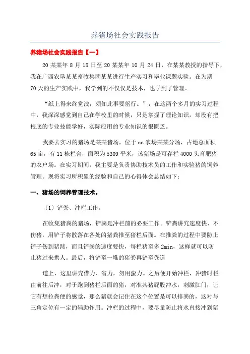 养猪场社会实践报告