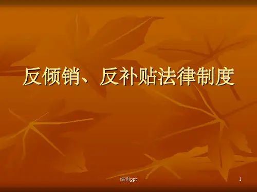 《反倾销、反补贴法》PPT课件