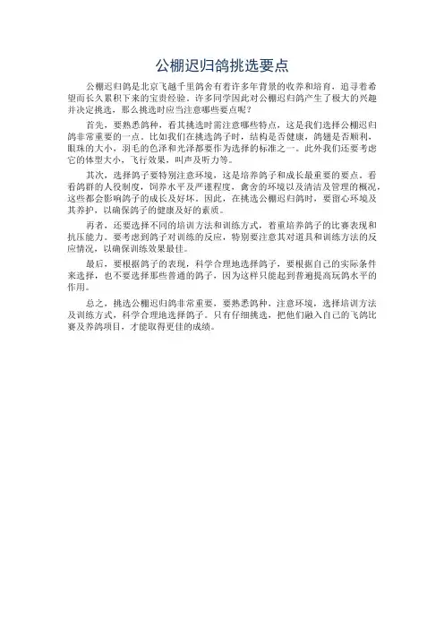 公棚迟归鸽挑选要点