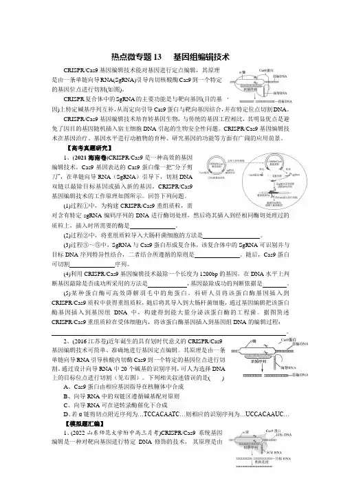 热点微专题13 基因组编辑技术(原卷版)