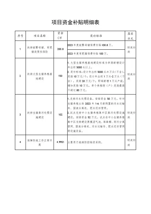项目资金补贴明细表