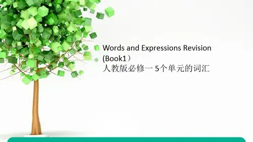词汇复习课件-高三英语一轮复习人教版