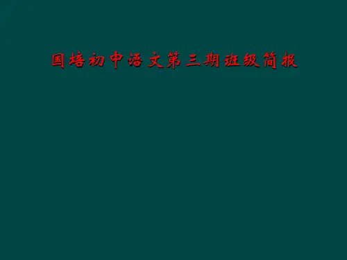 国培初中语文第三期班级简报