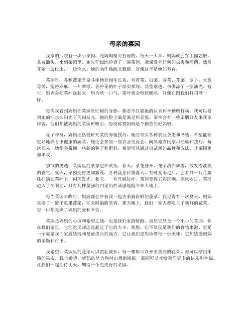 母亲的菜园