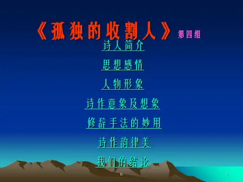 孤独的收割人第四组