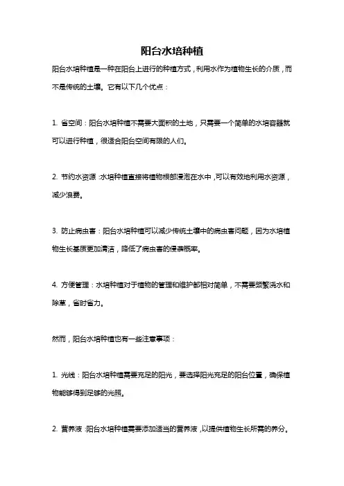阳台水培种植