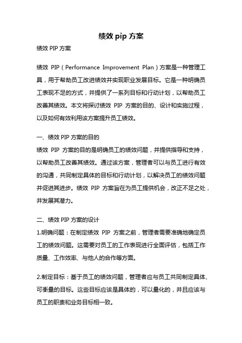 绩效pip方案