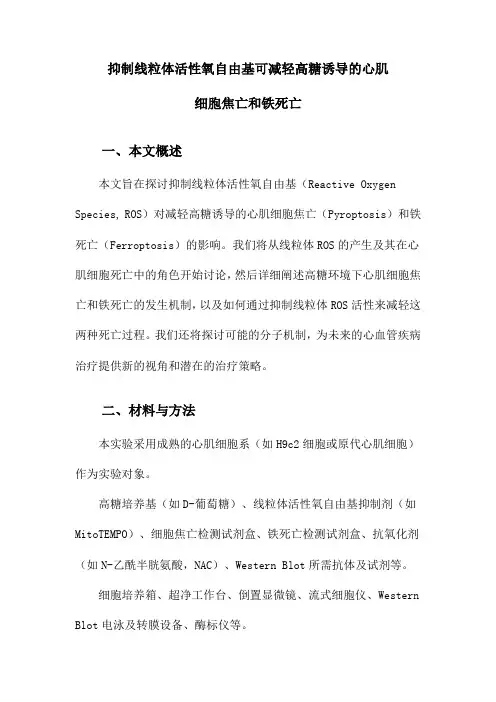 抑制线粒体活性氧自由基可减轻高糖诱导的心肌细胞焦亡和铁死亡