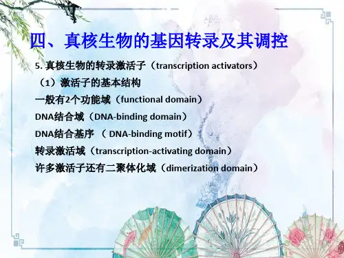 【中山大学 分子生物学】-11