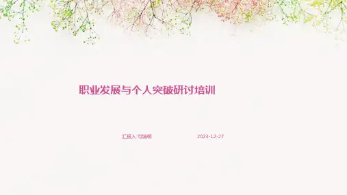 职业发展与个人突破研讨培训ppt