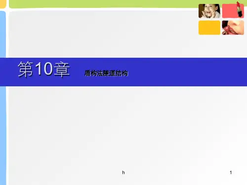 盾构法隧道结构(1)