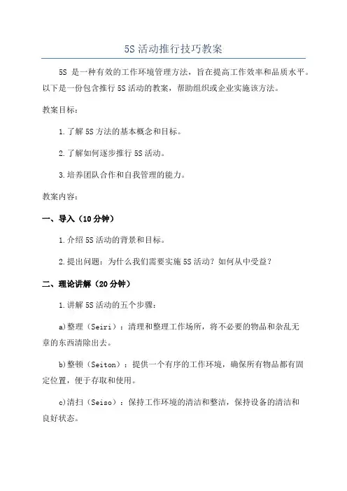 5S活动推行技巧教案
