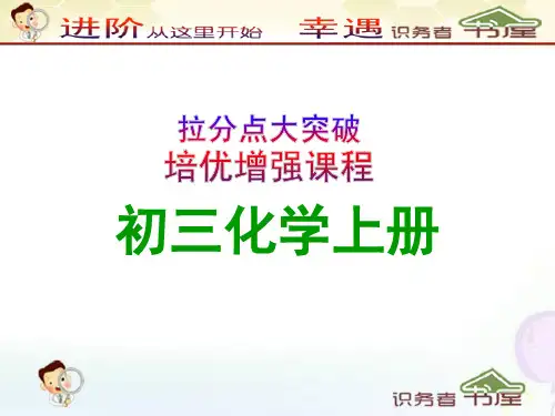 初三化学上册PPT课件-《燃烧的条件》