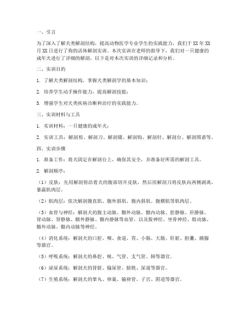 狗的活体解剖实训报告