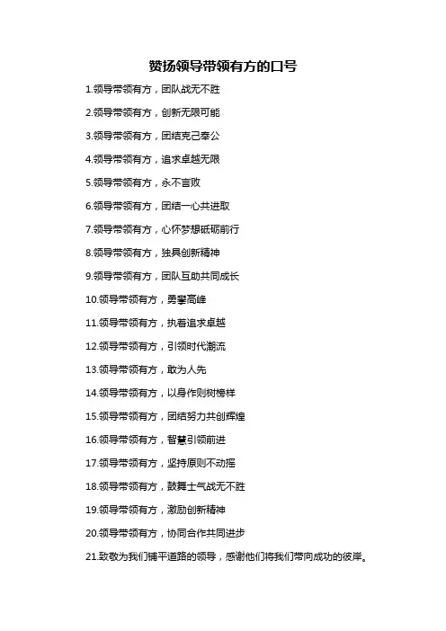赞扬领导带领有方的口号