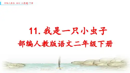 部编人教版二年级下册语文《11.我是一只小虫子》优质课件
