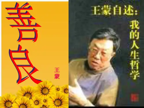 王蒙：《善良》优质课件