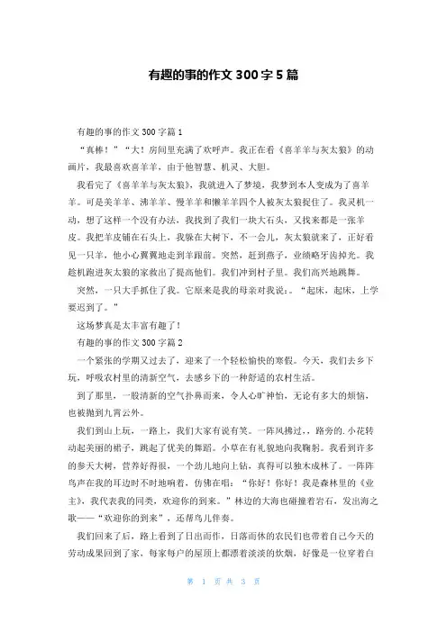 有趣的事的作文300字5篇
