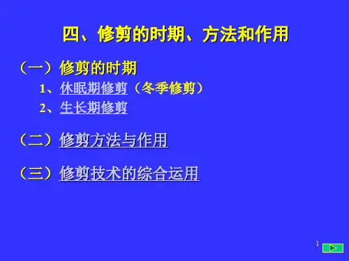 果树整形修剪——修剪方法ppt课件