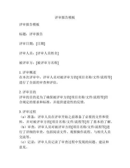 评审报告模板