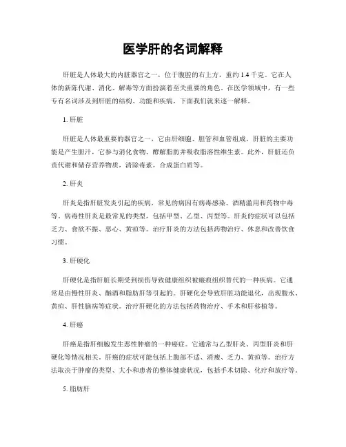 医学肝的名词解释