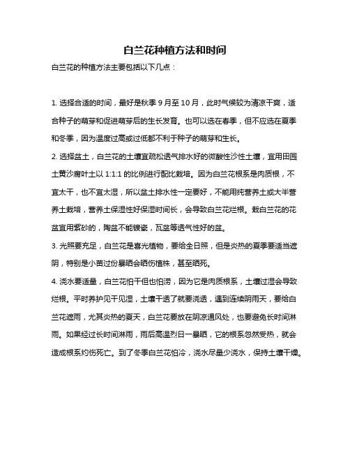 白兰花种植方法和时间