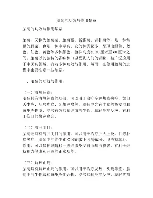 胎菊的功效与作用禁忌
