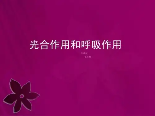 [名校联盟]海南省文昌中学高一生物：光合作用和呼吸作用+课件