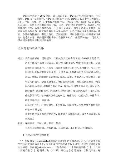 金银花论文——精选推荐