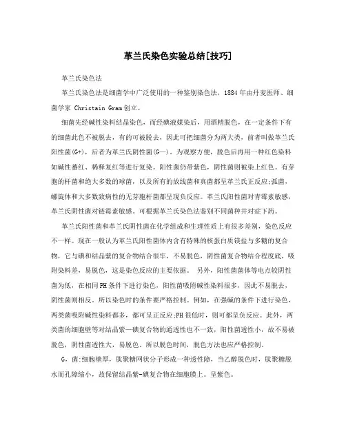 革兰氏染色实验总结[技巧]