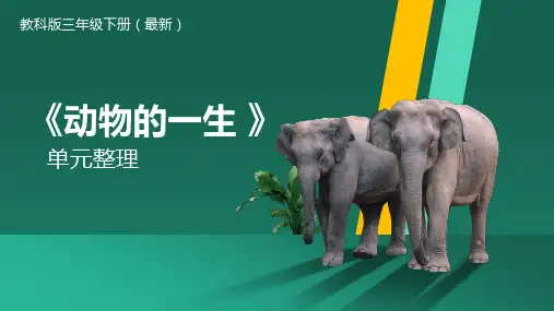 教科版三年级科学下册 复习课件 《动物的一生》单元复习课件