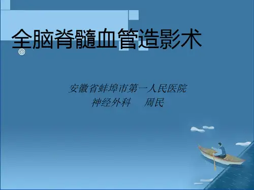 全脑全脊髓血管造影