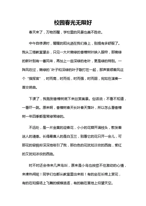 校园春光无限好作文800字