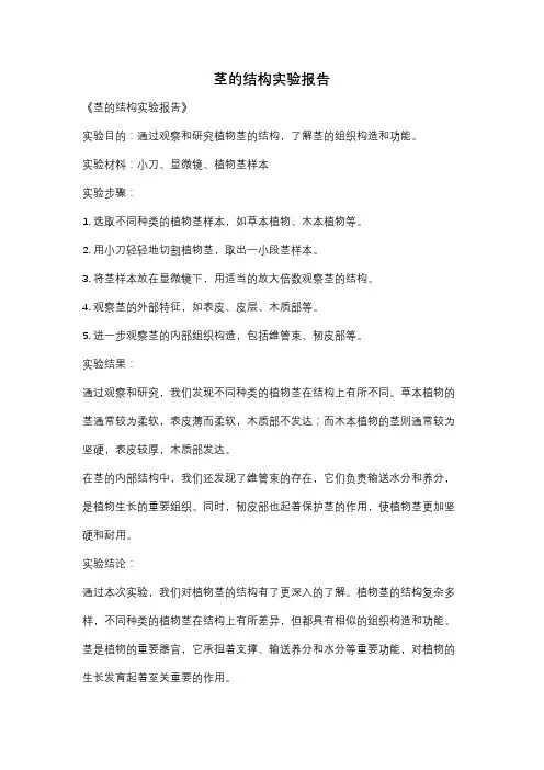 茎的结构实验报告