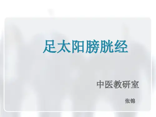 足太阳膀胱经
