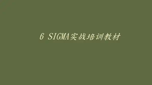 6 SIGMA实战培训教材