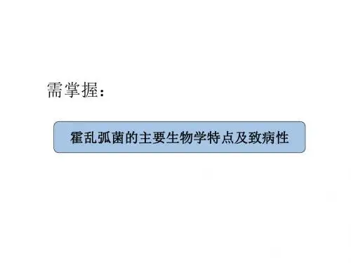 弧菌属与弯曲菌