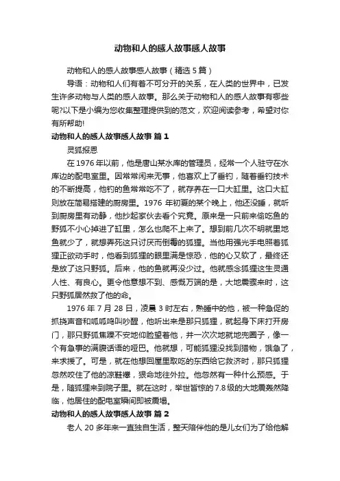 动物和人的感人故事感人故事