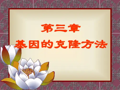 基因的克隆方法大全