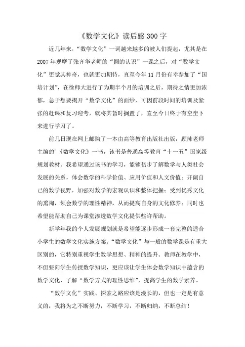 《数学文化》读后感300字