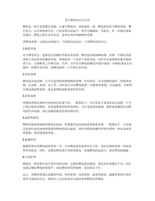 养大鳄龟知识点总结